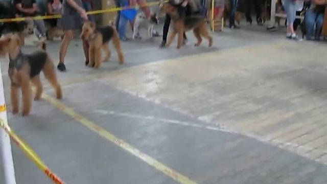 Изображение 006