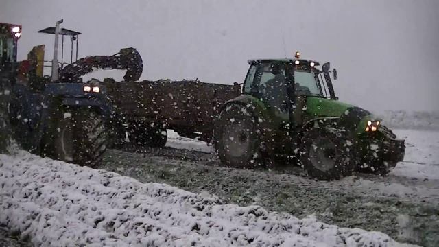 самая лучшая погода для уборки моркови :D смотреть онлайн