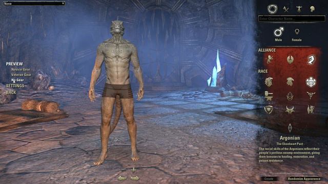 The Elder Scrolls Online - Medium Armor Preview (All Races [No Imperials]) смотреть онлайн