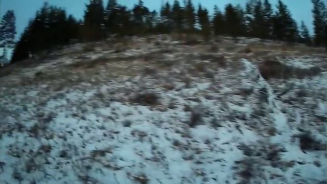 ОХОТА С ПОДХОДА, ЗИМОЙ НА СИБИРСКУЮ КОСУЛЮ смотреть онлайн