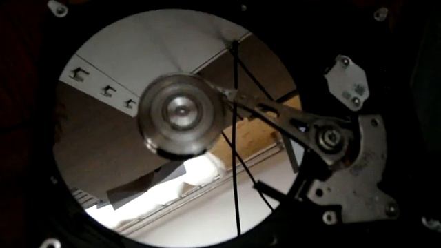 Жесткий диск - Сверчок / HDD - Cricket