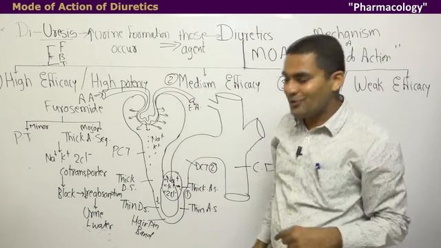 Diuretics | Diuretic | Furosemide #drlecture #diuretic #diuresis #furosemide #potassium #sparing #d смотреть онлайн