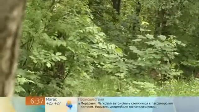 Что делать если пропал ребёнок. Поиск. смотреть онлайн