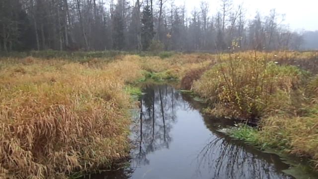 Речка Надва смотреть онлайн