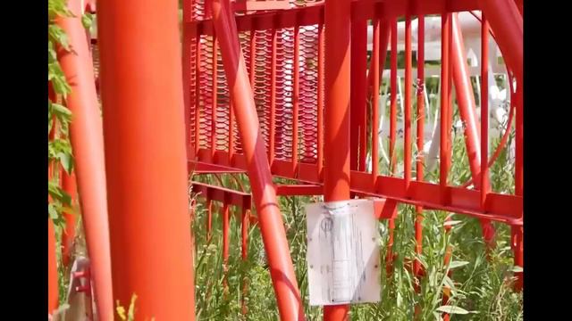 Хасанов Денис (Тюльганский машиностр.завод) смотреть онлайн