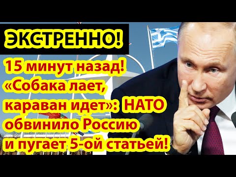 15 минут назад! Собака лает, караван идет ! - НАТО обвинило Россию и пугает пятой статьёй.!!mp4 смотреть онлайн