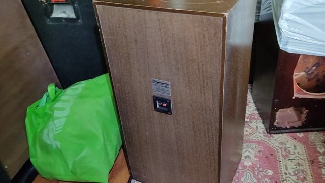 В колонках радиотехника S-90D жили мыши!))Какие колонки нельзя покупать смотреть онлайн