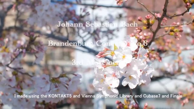 Bach Brandenburg Concerto No6 - 3rd Movement -  Using Cubase 7 And KONTAKT5