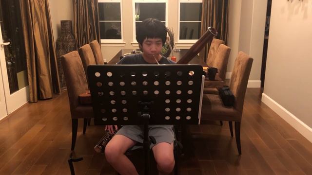 Harry's Wondrous World I Harry Potter John Williams excerpt (Bassoon) смотреть онлайн