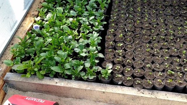 Меня не терять!!! Я еще в строю ?!!! Аврал работы. смотреть онлайн