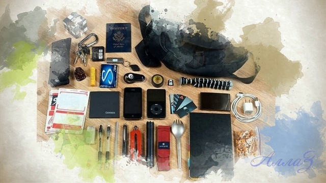 Ladies Handbag.Женская сумочка. Vyacheslav Myasnikov  