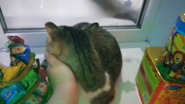 Заводная ТЁЩА и новогодняя суета !