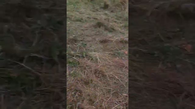 Рыбалка смотреть онлайн