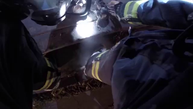 Спасение котят из пожара видео от первого лица смотреть онлайн