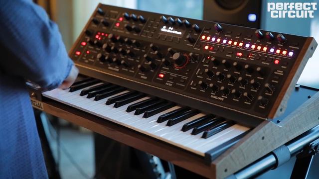 NAMM 2020: Dave Smith Pro 3 Interview - Sequential смотреть онлайн