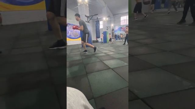 1разряд по боксу против МС по боксу тренировочный спарринг смотреть онлайн