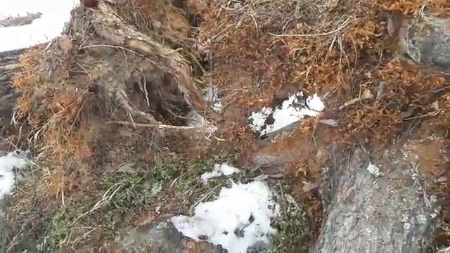 ЧТО ДЕЛАЕТ ветер смотреть онлайн