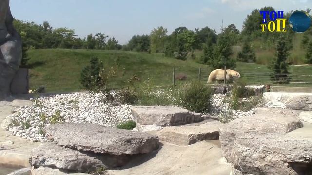 5 САМЫХ БОЛЬШИХ ЗООПАРКОВ МИРА смотреть онлайн