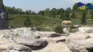 5 САМЫХ БОЛЬШИХ ЗООПАРКОВ МИРА