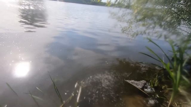 Пиявка и вертячки Нескучная жизнь. смотреть онлайн