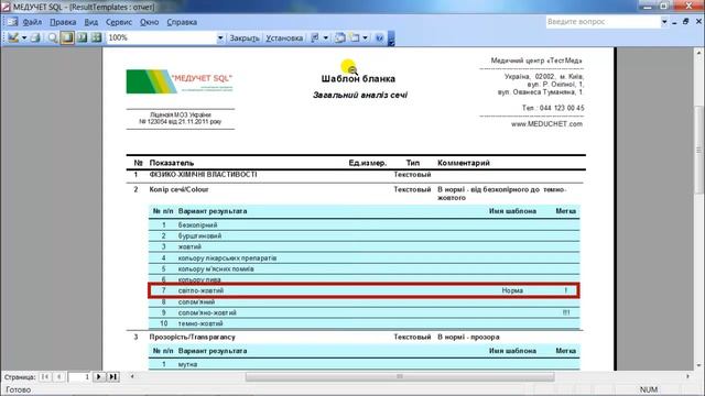 Как распечатать структуру бланка в программе "МЕДУЧЕТ SQL"? смотреть онлайн