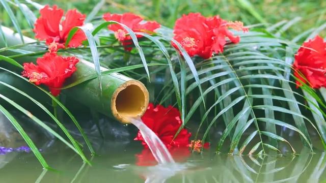 Бамбуковый фонтан Waterm на 2 часа для сна Звук бамбуковой воды для релаксации смотреть онлайн