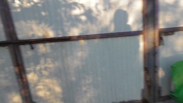 1. Солнечный био-вегетарий начало строительства