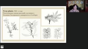 Рябина Додонг ('Dodong'), фрагмент вебинара "Исторические сорта", 2022