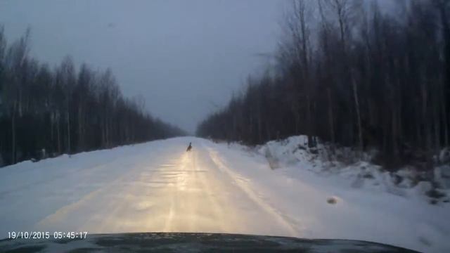 Подчерье-Вуктыл смотреть онлайн