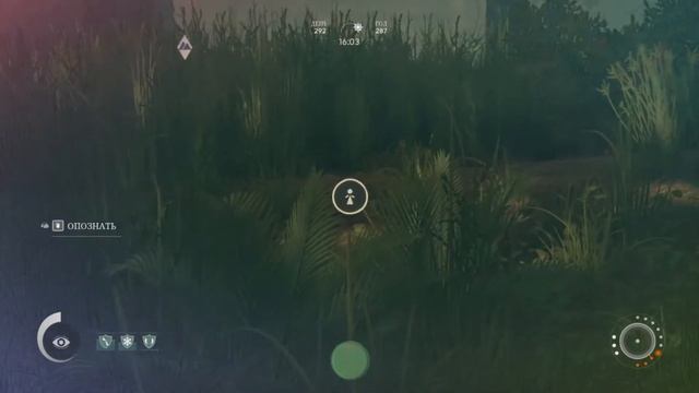 ANCESTORS The Humankind Odyssey ➤ Прохождение #16 смотреть онлайн