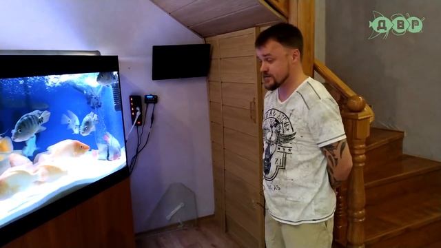 ОГРОМНЫЙ АКВАРИУМ НА 2000 ЛИТРОВ! смотреть онлайн