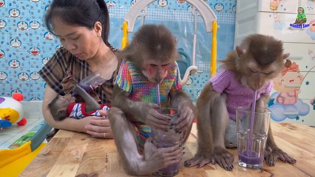 Delicious Purple Cabbage Juice For Monkey Sam, Asher Bob To Enjoy