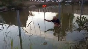 Вынос границ землеотвода