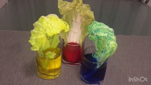 «Как растения пьют воду». Эксперимент с водой. смотреть онлайн