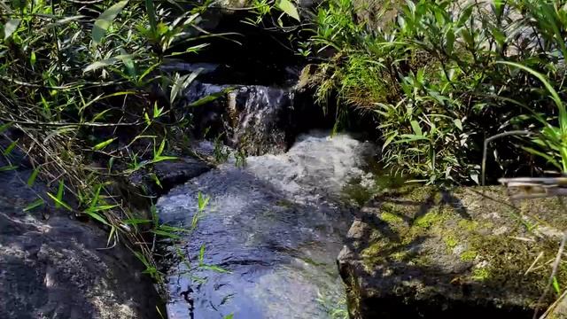 Beat Stress & Deep Sleep With Waterfall Sounds In Forest - White Noise,River Sounds For Sleeping