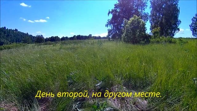 Находки за 2 дня. смотреть онлайн