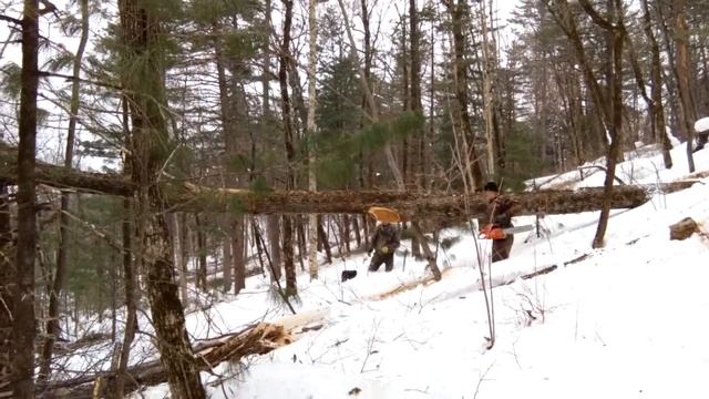 Все подряд В тайге Приморья (есть маты).(44) смотреть онлайн