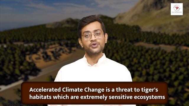 Tiger Conservation: From the Brink of Extinction to Hope | International Tiger Day | The Processor смотреть онлайн
