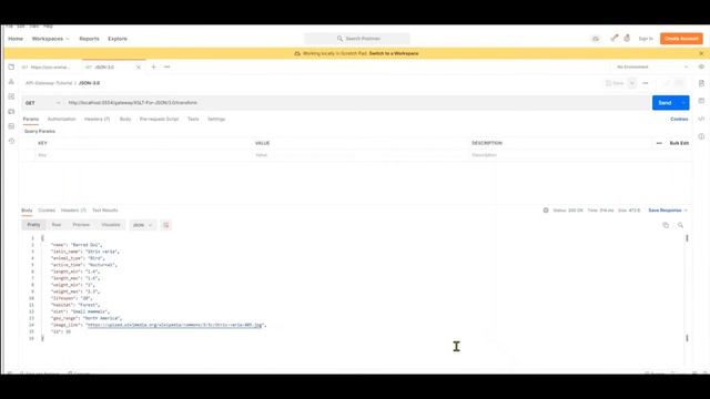 2 - SoftwareAG webMethods API Gateway (Advanced) Tutorial | JSON transformation with XSLT смотреть онлайн