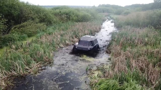 Вездеход MAD NOMAD пробирается через болото с камышами! смотреть онлайн