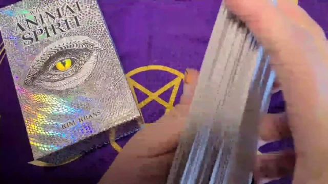 Animal Spirit Oracle Daily Card Pull смотреть онлайн