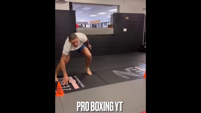 Alex Pereira Strength & Conditioning Training смотреть онлайн