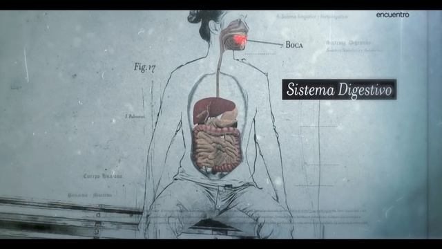 OBESIDAD Y SOBREPESO смотреть онлайн