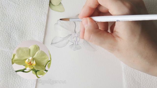 Watercolor Painting in Process / Green Phalaenopsis by Yuligenna смотреть онлайн