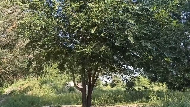 10 октября праздник День Савватия. Главные правила и запреты дня. Что нужно сделать. Именинники дня смотреть онлайн