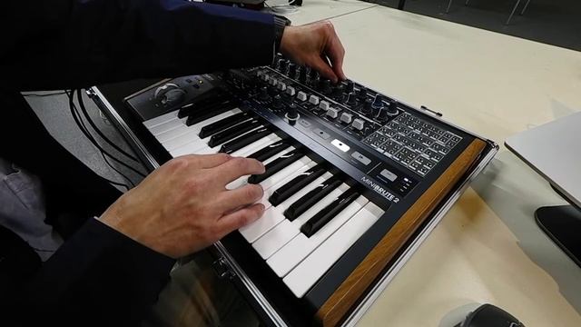 ARTURIA MINI BRUTE 2 | SOLO PERFORMANCE смотреть онлайн