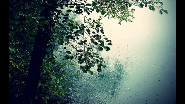 Sound of rain - Звук дождя, ливня, грозы - Для сна, отдыха и релаксации смотреть онлайн
