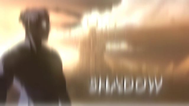 Shadow Fight 2