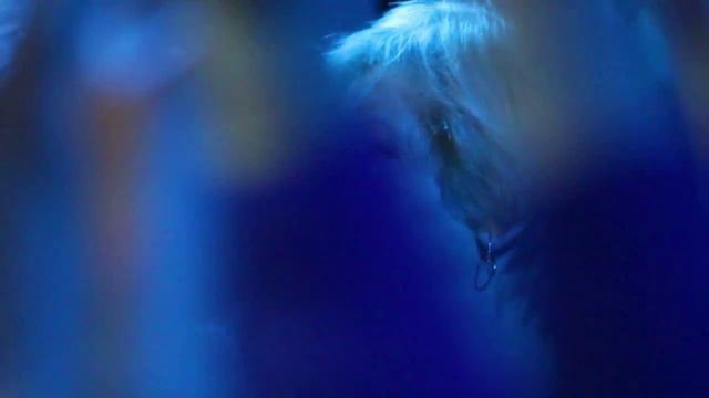 Ольга Плотникова Падает снег 05,2014 Рождественские встречи смотреть онлайн