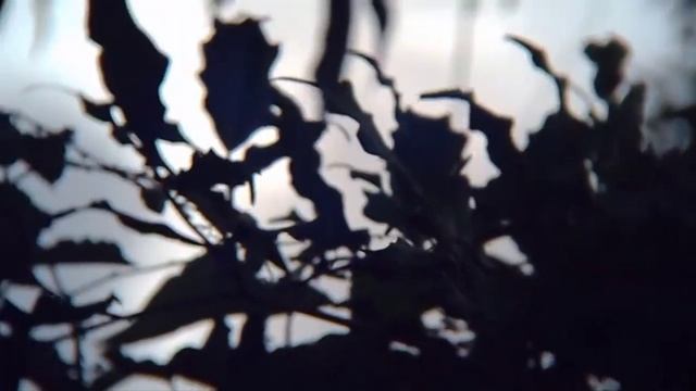 UM VIDEO DIFERENTE! (Polo Sharpshots)